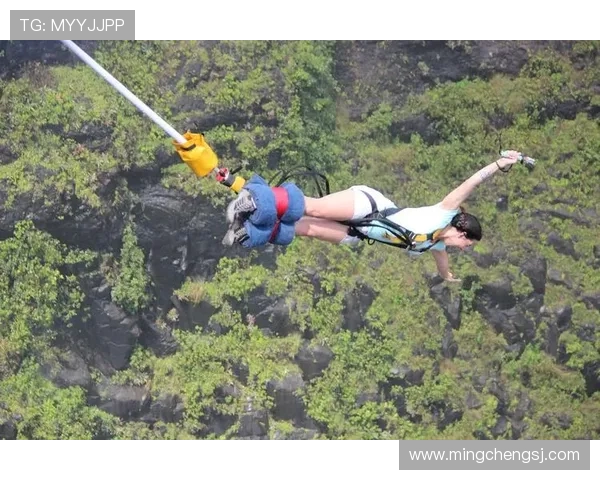 西安极限运动队在攀岩联赛中的团队协作表现分析与点评