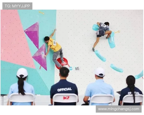 重庆攀岩队与南京攀岩队赛后战术分析与总结探讨