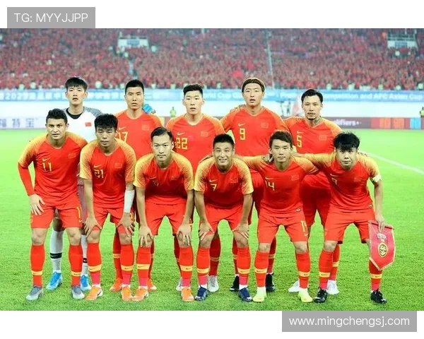 北京乒乓球队在世界杯预选赛中的拼搏历程与荣耀时刻回顾